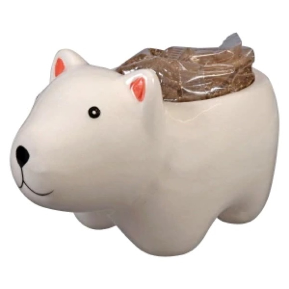 🎯Polar Bear 🐻‍❄️ Planter Grow Kit
